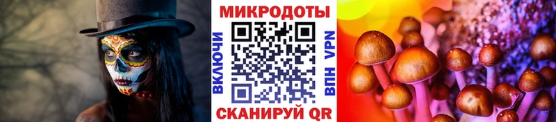Псилоцибиновые грибы Psilocybe  Купить  Красноперекопск 