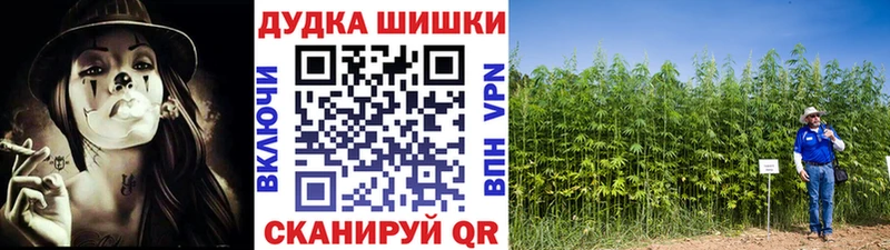 Конопля план  Купить закладки  Красноперекопск 